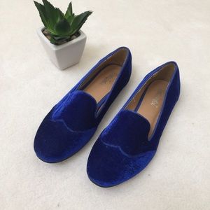 Blue velvet loafers